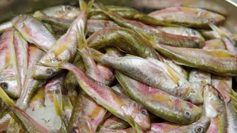 Fresh Small Fish Piled On Ice For Market Display And Fresh Seafood Sale Video stock 325645456
