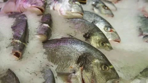 Fresh Small Fish Piled On Ice For Market Display And Fresh Seafood Sale Video stock 326200282