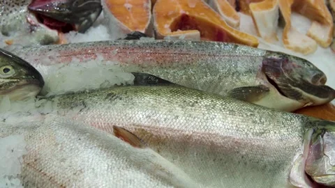 Fresh Small Fish Piled On Ice For Market Display And Fresh Seafood Sale Stock Footage 327843535