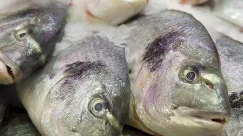 Fresh Small Fish Piled On Ice For Market Display And Fresh Seafood Sale 스톡 동영상 328396489