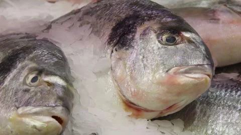 Fresh Small Fish Piled On Ice For Market Display And Fresh Seafood Sale Stock Footage 328802695