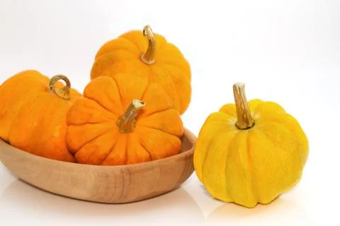 Fresh small  pumpkin Stock Photos