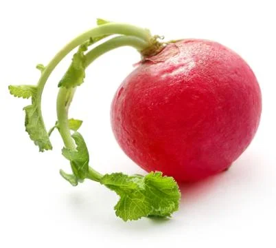 Fresh small radish Stock Photos