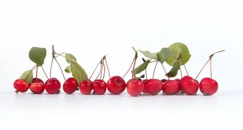 Fresh small red apples Stock Photos