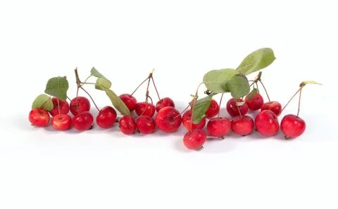Fresh small red apples Stock Photos
