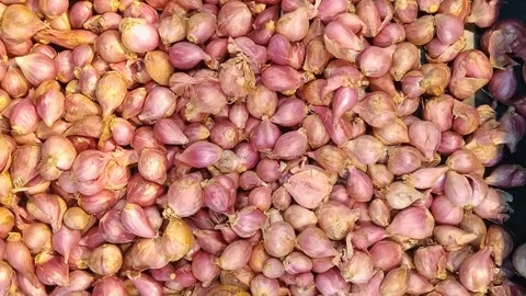 Fresh Small Red Shallots Inside a Black Basket Stock Footage 341746422