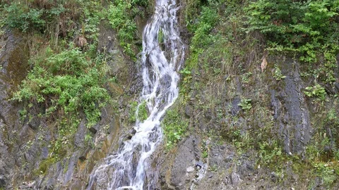 Fresh small waterfall in mountain forest of Georgia Stock Footage 106366307