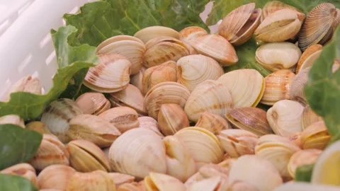 Fresh snails in a shell on green salad lettuce leaf. Street food. Products on Stock Footage 261058803