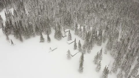 Fresh  snow camping Stock Footage 170787939