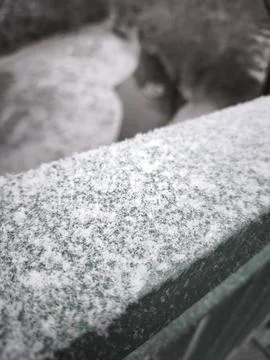 Fresh snow dusting a green railing in prague, czechia Stock Photos