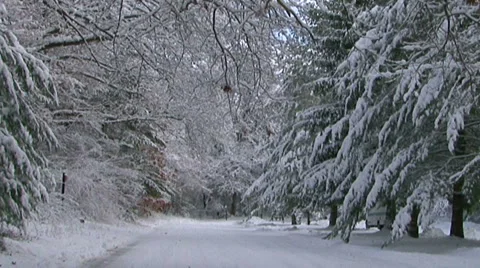 Fresh Snow Fall  Video stock 981511