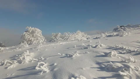 Fresh snow fall on the trees and forests of the Swiss Jura Mountains 動画素材 153801581