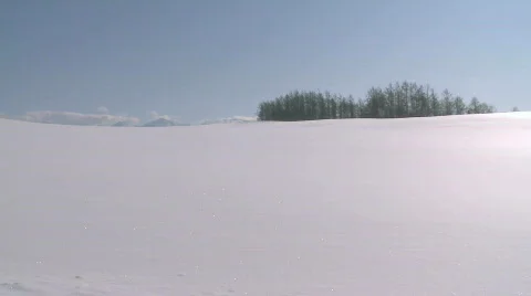 Fresh snow Video stock 588089