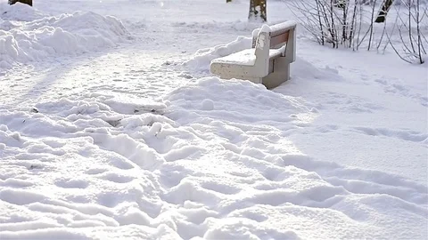 Fresh snow glitters Video stock 73054653