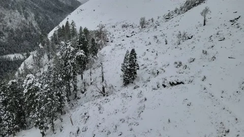 Fresh snow on mountain and trees. aerial drone shot after heavy snowfall. came Video stock 157707972