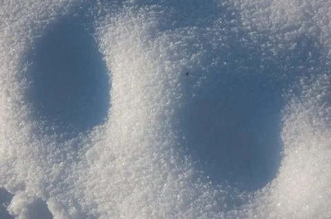 Fresh snow Foto stock