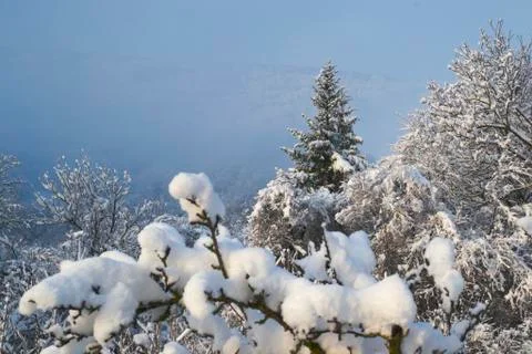 Fresh snow Stock Photos