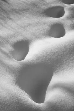 Fresh snow Stock Photos
