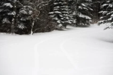 Fresh Snowfall Stock Photos