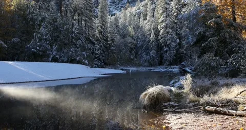 Fresh snowfall in Yosemite Stock Footage 144295748