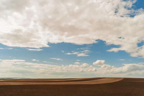 Fresh soil Foto stock