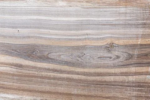 Fresh solid oak board freshly sawn. Stock Photos