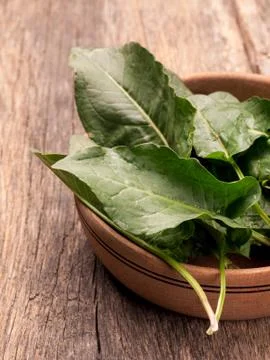 Fresh sorrel vegetable Stock Photos