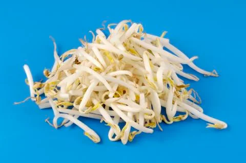 Fresh soya sprouts Stock Photos