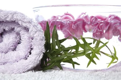 Fresh spa Stock Photos