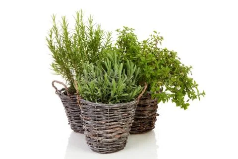 Fresh spices Foto stock