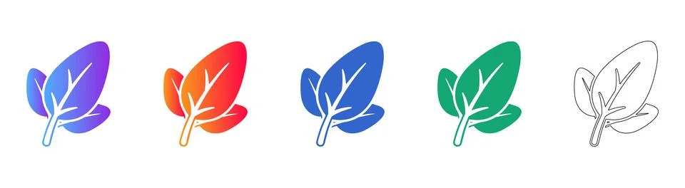 Fresh Spinach Leaf Icon Set Stock Illustration
