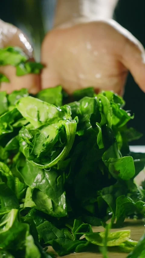 Fresh spinach leaves close up vertical video. healthy food, salad ingredients Stock Footage 274446011