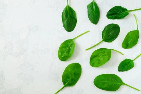 Fresh spinach leaves on a light surface Stock Photos