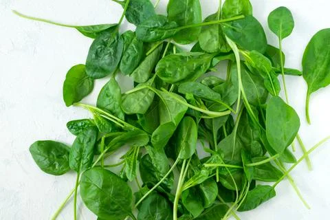 Fresh spinach leaves on a light surface Stock Photos