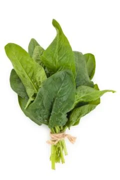 Fresh spinach leaves. Stock Photos