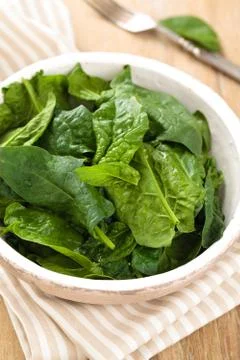 Fresh spinach leaves. Stock Photos