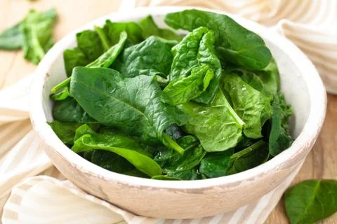 Fresh spinach leaves. Stock Photos