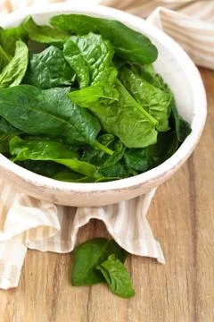 Fresh spinach leaves. Stock Photos