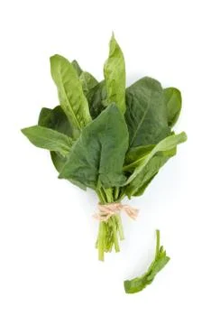 Fresh spinach leaves. Stock Photos