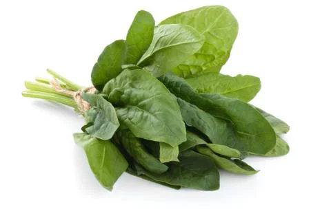 Fresh spinach leaves. Stock Photos