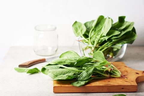 Fresh spinach leaves. Stock Photos