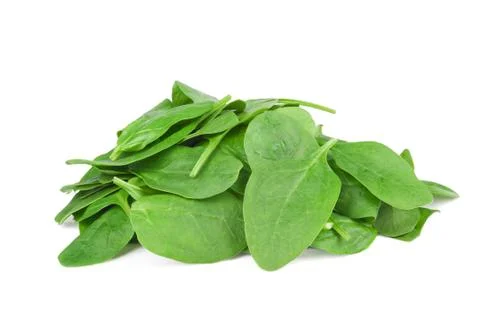 Fresh spinach Fotos Stock