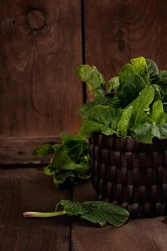 Fresh spinach Stock Photos
