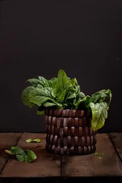 Fresh spinach Stock Photos