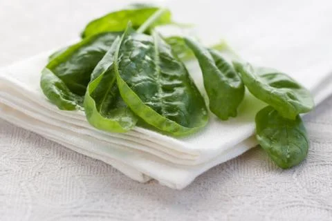 Fresh spinach Stock Photos