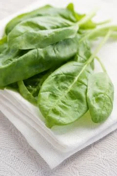 Fresh spinach Stock Photos