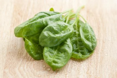 Fresh spinach Stock Photos