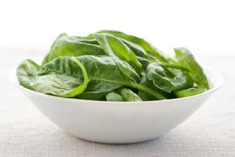 Fresh spinach Stock Photos