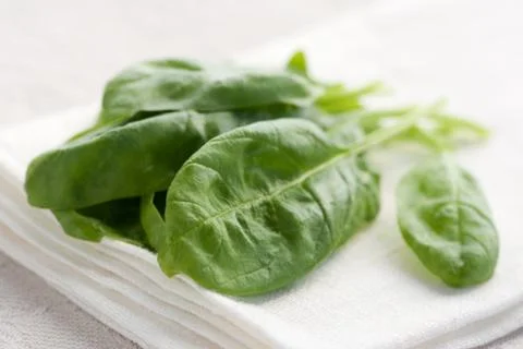Fresh spinach Stock Photos
