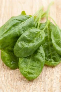 Fresh spinach Stock Photos